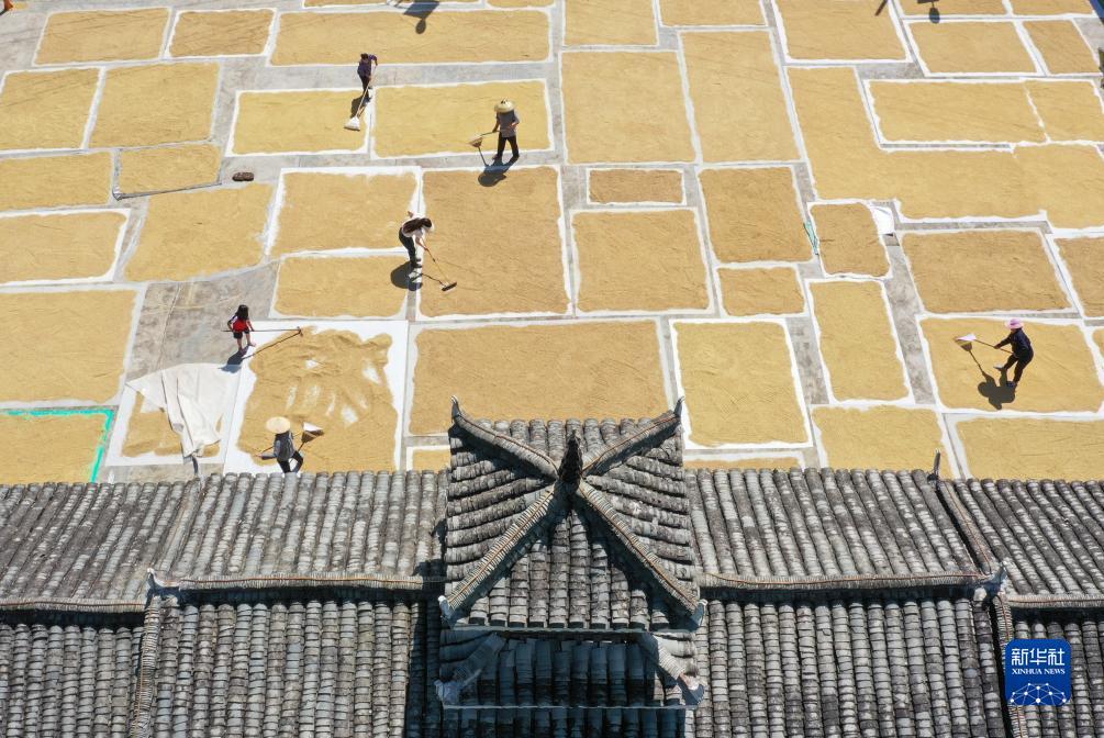 金博宝怎么注册